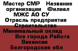 Мастер СМР › Название организации ­ Филиал МЖС АО СУ-155 › Отрасль предприятия ­ Строительство › Минимальный оклад ­ 35 000 - Все города Работа » Вакансии   . Белгородская обл.